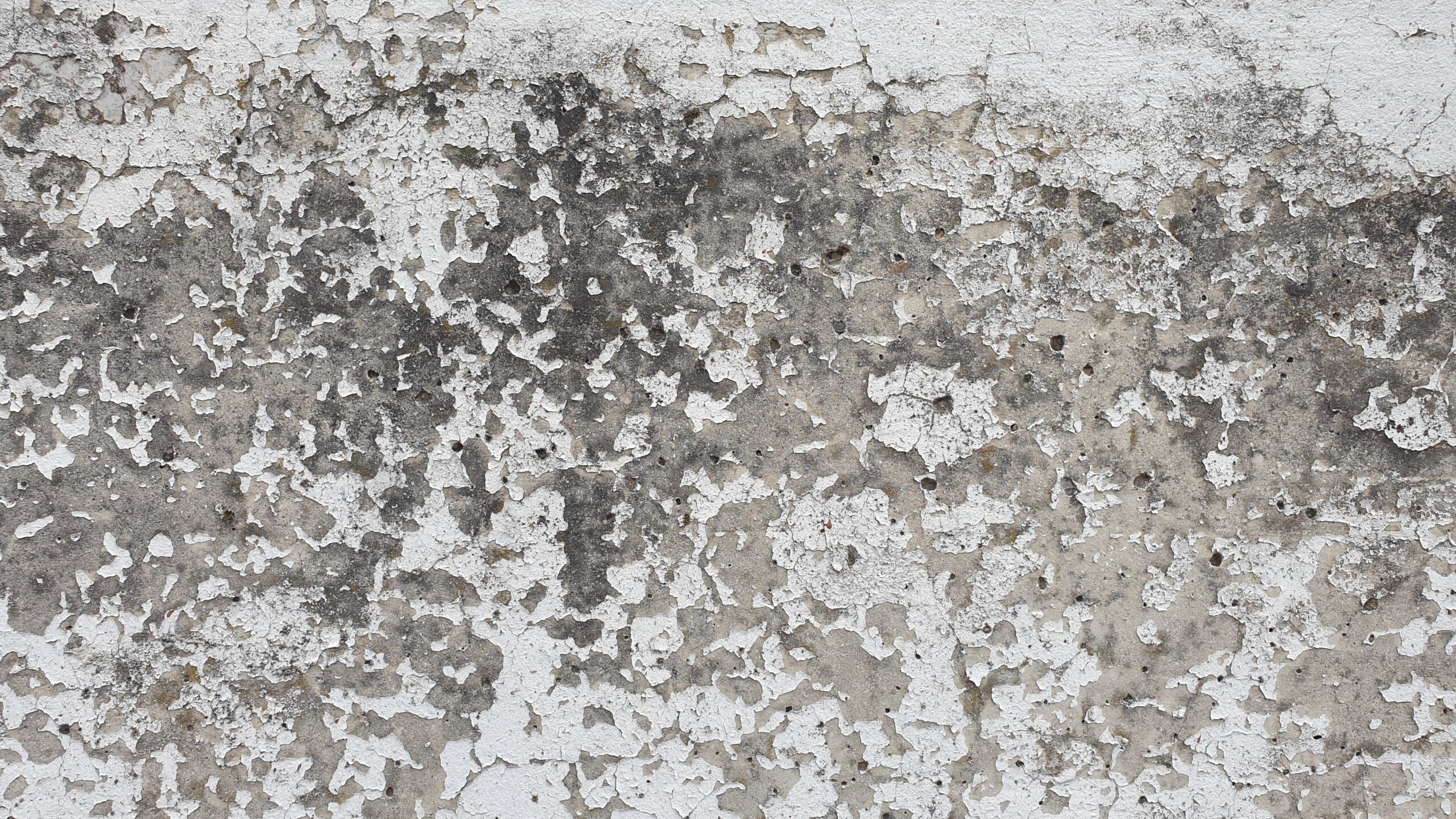 Biała farba schodząca z betonowego murka w ogrodzie